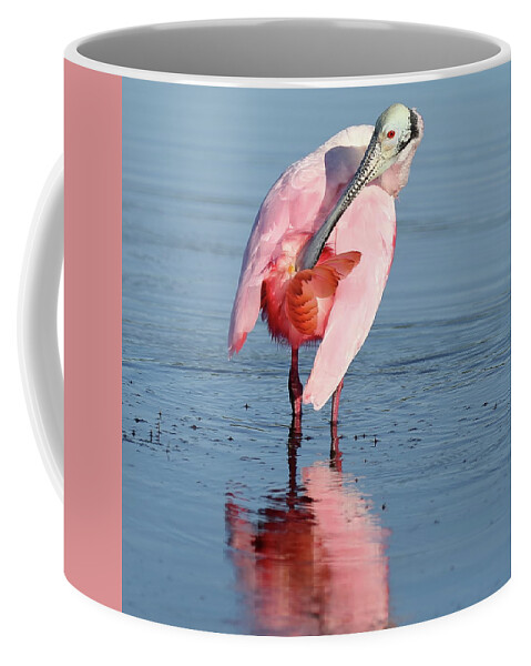 Roseate Spoonbill Coffee Mug featuring the photograph Roseate Spoonbill 5 by Mingming Jiang