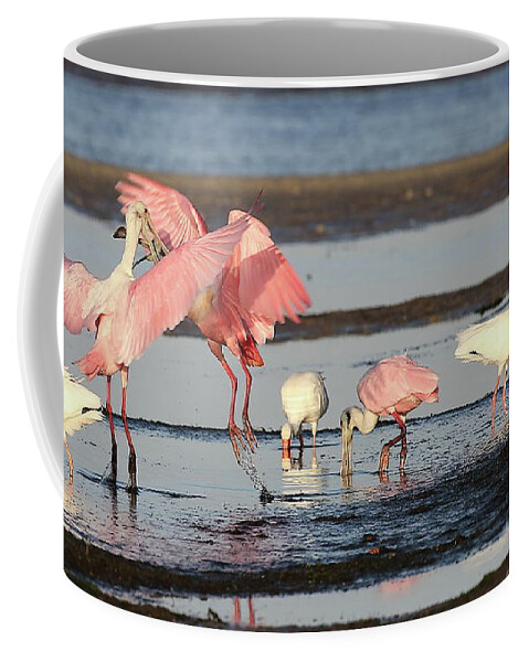 Roseate Spoonbill Coffee Mug featuring the photograph Roseate Spoonbill 9 by Mingming Jiang