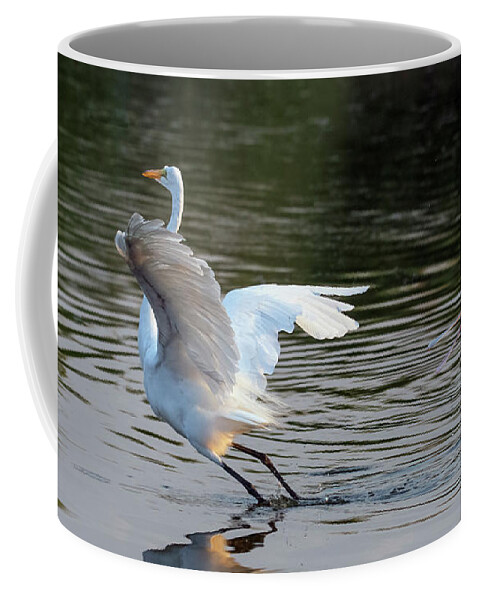 Roseate Spoonbill Coffee Mug featuring the photograph Roseate Spoonbill and Great Egret 0425-062921-2 by Tam Ryan
