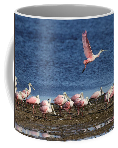 Roseate Spoonbill Coffee Mug featuring the photograph Roseate Spoonbills Gather Together 5 by Mingming Jiang