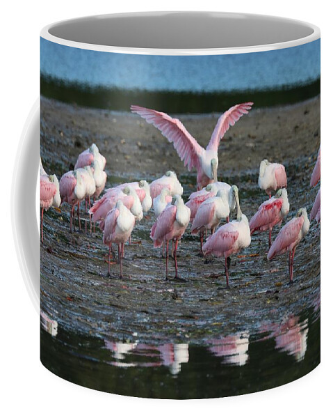 Roseate Spoonbill Coffee Mug featuring the photograph Roseate Spoonbills Gather Together 6 by Mingming Jiang