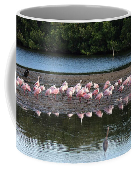 Roseate Spoonbill Coffee Mug featuring the photograph Roseate Spoonbills Gather Together 7 by Mingming Jiang
