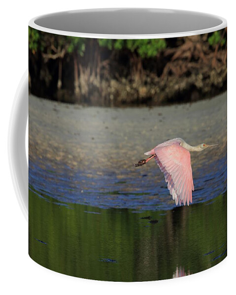 Roseate Spoonbill Coffee Mug featuring the photograph Roseate Spoonbill in Flight by Mingming Jiang