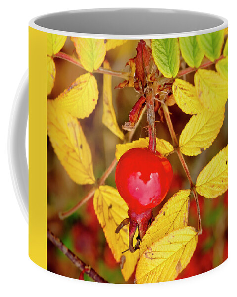 Rose Hip Coffee Mug featuring the photograph Rosehip. Winter is coming. by Elena Perelman