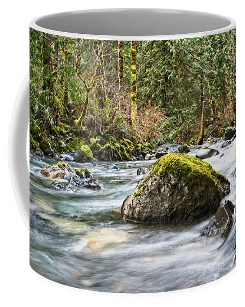 Rosewall Coffee Mug featuring the photograph Rosewall Creek 2 by Chuck Burdick