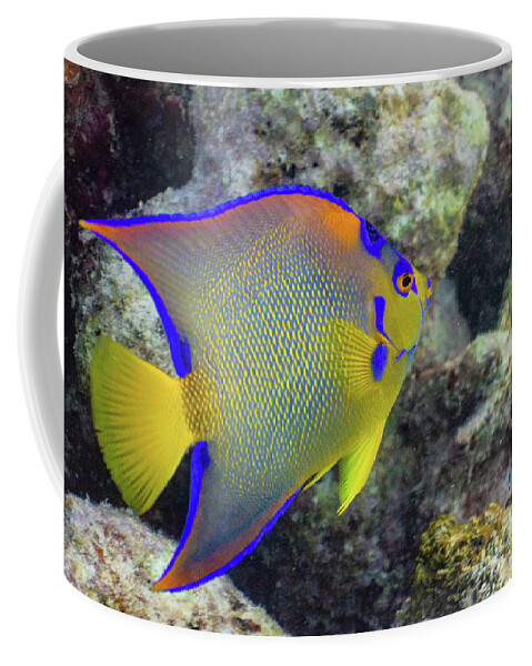 Fish Coffee Mug featuring the photograph Royalty by Lynne Browne