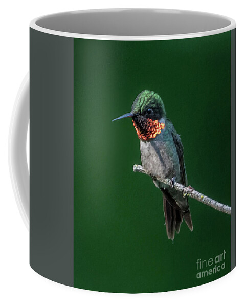Ruby Throated Hummingbird Coffee Mug featuring the photograph Ruby Throated Hummingbird-1 by Sandra Rust