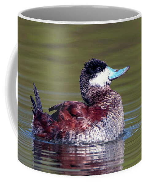 Ruddy Duck Coffee Mug featuring the photograph Ruddy Duck 8715-032121-2 by Tam Ryan