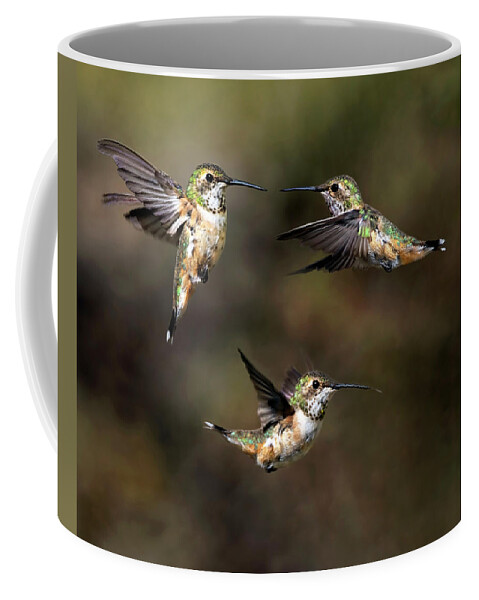 Hummingbird Coffee Mug featuring the photograph Rufous Ruckus by Art Cole