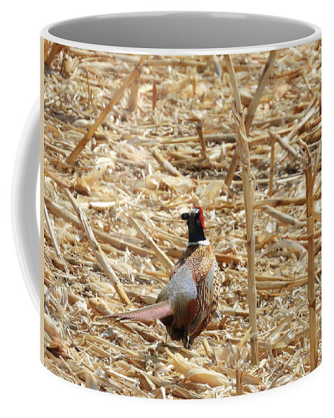 Pheasant Coffee Mug featuring the photograph Running Pheasant by Amanda R Wright