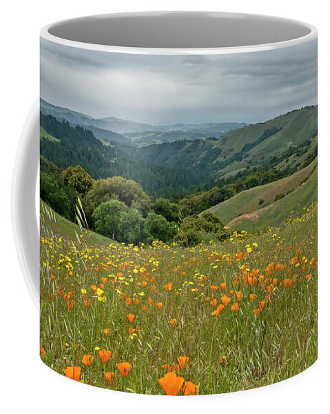 Russian Ridge Coffee Mug featuring the photograph Santa Cruz Mountains Wildflowers #1 by Carla Brennan