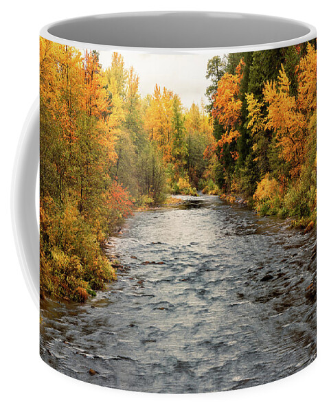 Bridge Coffee Mug featuring the photograph Sacramento River Fall Colors by Mike Lee