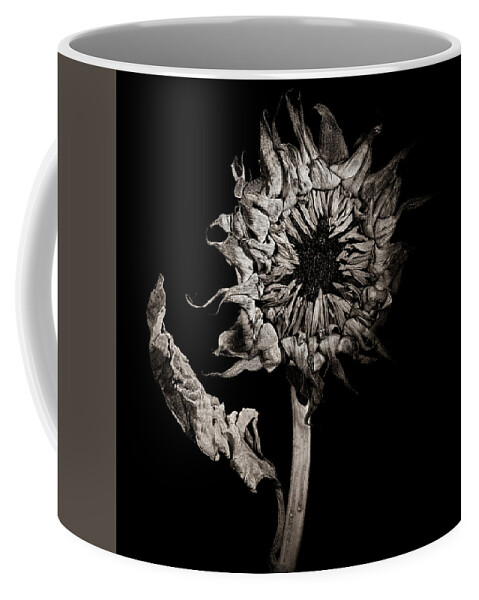 Wilting Flower Coffee Mug featuring the photograph Wilting sunflower in black and white by Alessandra RC