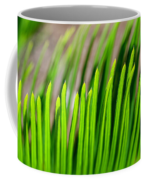 Sago Palm Coffee Mug featuring the photograph Sago Palm by WAZgriffin Digital