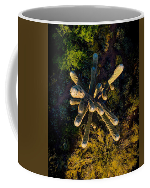 Arizona Coffee Mug featuring the photograph Saguaro Cactus Arizona Top Down by Anthony Giammarino