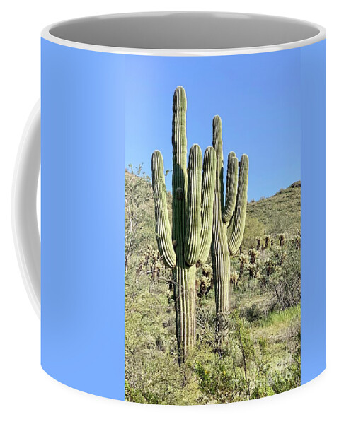 Photography Coffee Mug featuring the photograph Saguaros by Sean Griffin