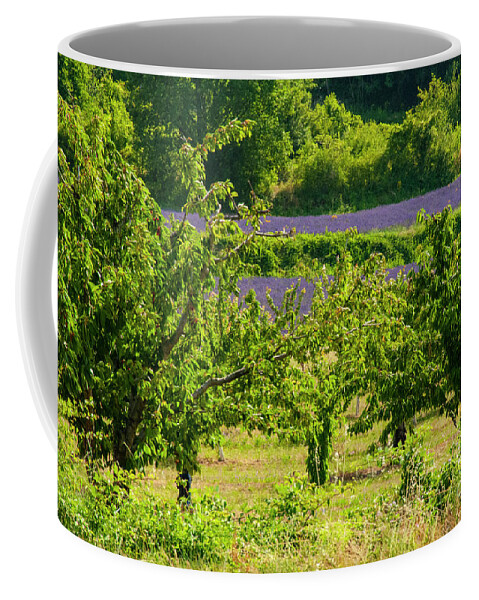 Provence Coffee Mug featuring the photograph Saignon Fruit Trees and Lavender by Bob Phillips