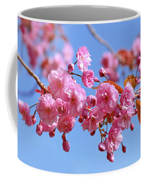 Pink Blossom Coffee Mug featuring the photograph Sakura in a blue sky by Maria Meester