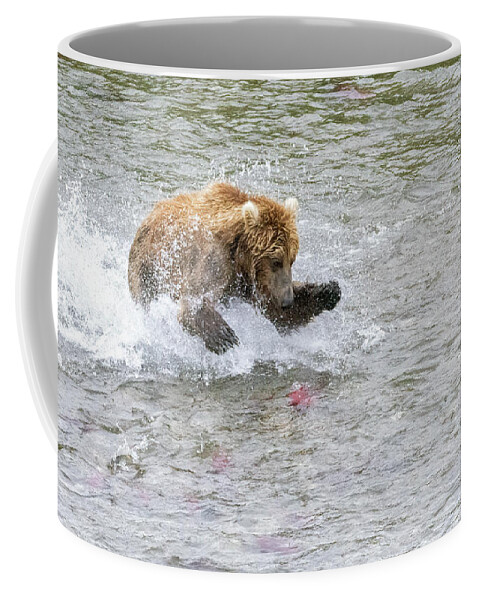 Alaska Coffee Mug featuring the photograph Salmon in Sight by Cheryl Strahl