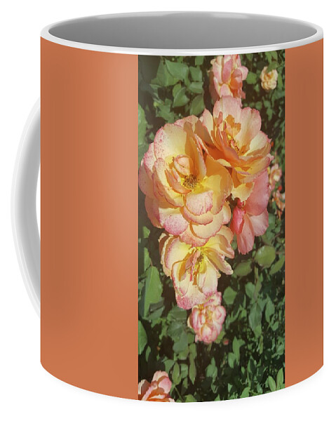 Flowers Coffee Mug featuring the photograph Salmon Rose by Pour Your heART Out Artworks