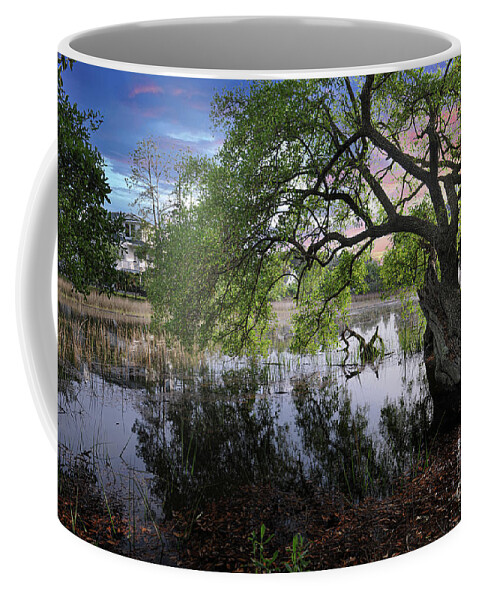 Salt Marsh Coffee Mug featuring the photograph Salt Marsh - Sunset - Live Oak Tree by Dale Powell