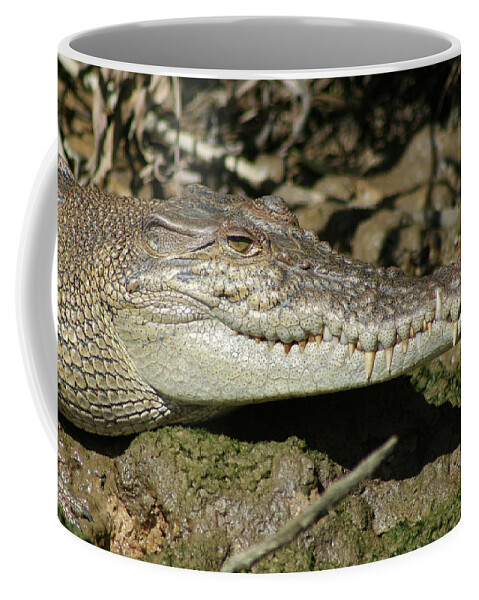 Animals Coffee Mug featuring the photograph Saltwater Crocodile Close Up by Maryse Jansen