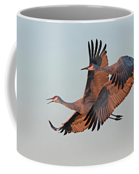 Sandhill Crane Coffee Mug featuring the photograph Sandhill Cranes at Dawn by Mindy Musick King