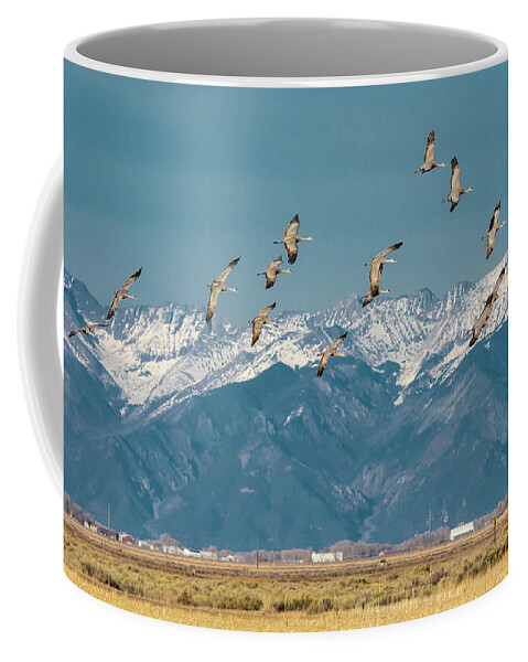 Sandhill Cranes In Flight Coffee Mug featuring the photograph SandHill Cranes in Flight by Bitter Buffalo Photography