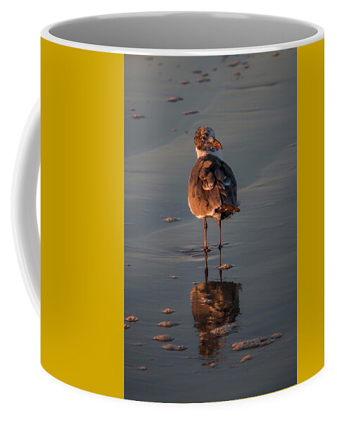Bird Coffee Mug featuring the photograph Sandpiper Morning Beach - Vertical by Patti Deters
