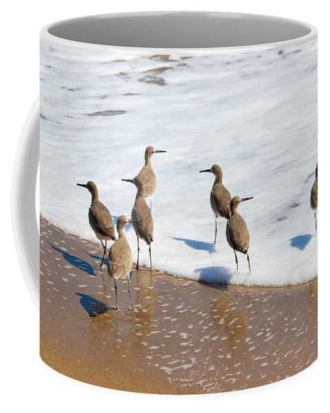 Bird Coffee Mug featuring the photograph Sandpipers Ocean Stakeout by Blair Damson