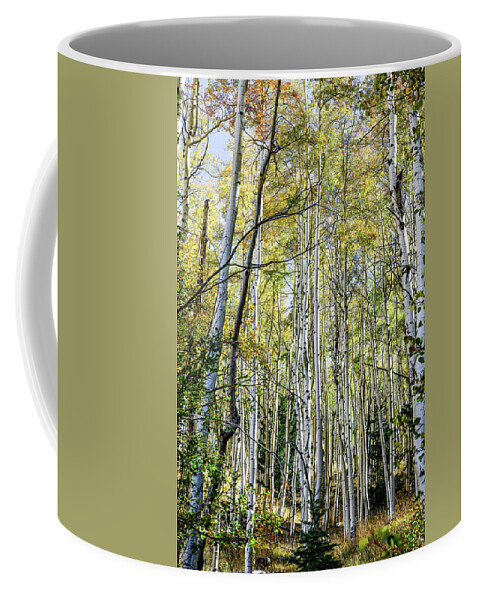 Copyright Elixir Images Coffee Mug featuring the photograph Santa Fe Fall Aspens #3 by Santa Fe