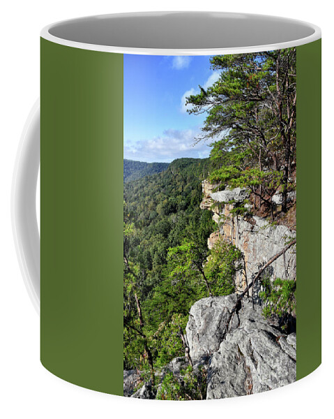 Savage Gulf Coffee Mug featuring the photograph Savage Gulf 23 by Phil Perkins