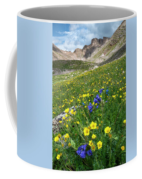 Colorado Coffee Mug featuring the photograph Sawtooth Wildflowers by Aaron Spong