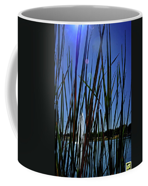 Sun Coffee Mug featuring the photograph Scenic Shore through the Reeds by George Taylor