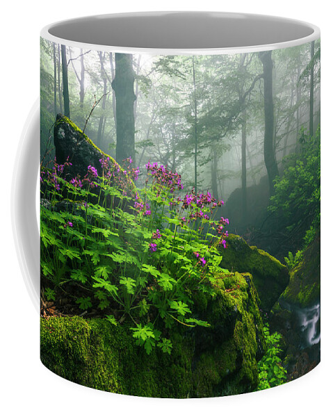 Geranium Coffee Mug featuring the photograph Scent of Spring by Evgeni Dinev
