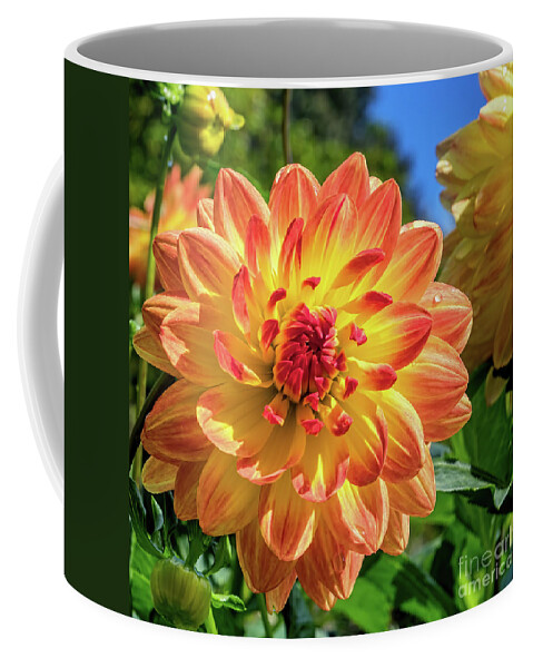 Flora Coffee Mug featuring the photograph Schloss Hellbrunn Gardens 1 by Tom Watkins PVminer pixs