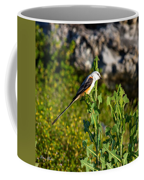 Flycatcher Coffee Mug featuring the photograph Scissortailed Flycatcher One by Dave Melear
