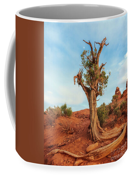 Arches Coffee Mug featuring the photograph Scraggly Tree by Sharon Seaward