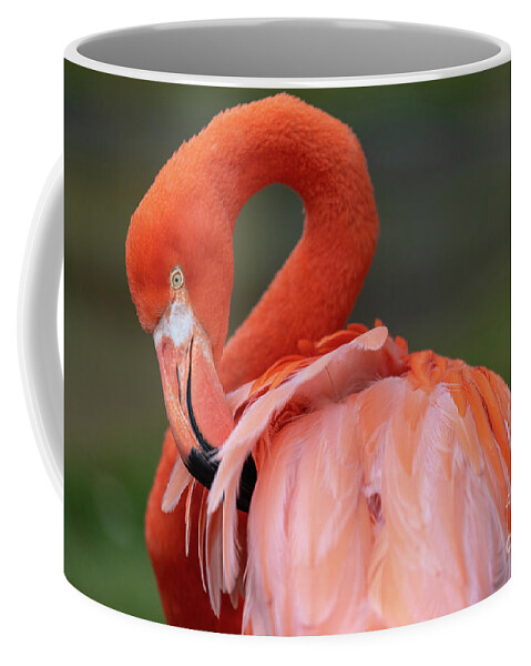 Bird Coffee Mug featuring the photograph Scratching My Back by David Levin