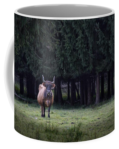 Cow Coffee Mug featuring the photograph Scruffy by Mark Fuller