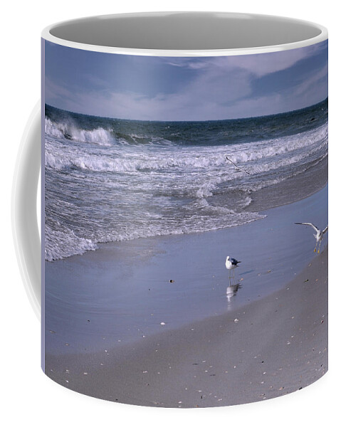 Landscape Coffee Mug featuring the photograph Sea Breeze Takeoff by Lynda Lehmann