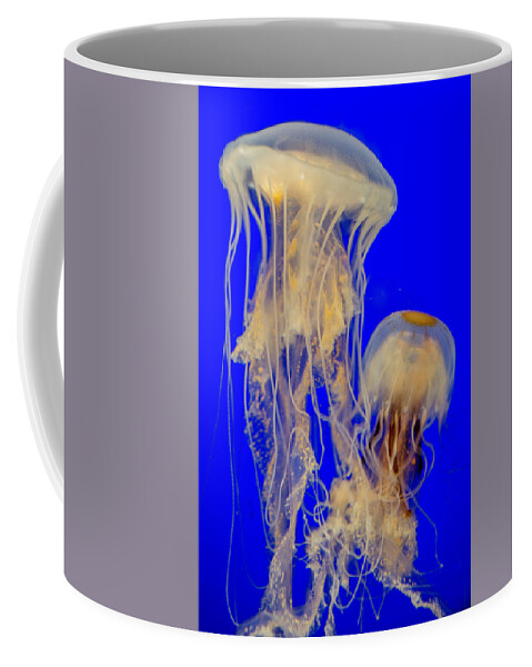 Sea Nettle Coffee Mug featuring the photograph Sea Nettles by WAZgriffin Digital