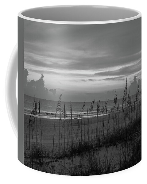 Beach Coffee Mug featuring the photograph Sea Oats against Horizon on Florida Beach by James C Richardson