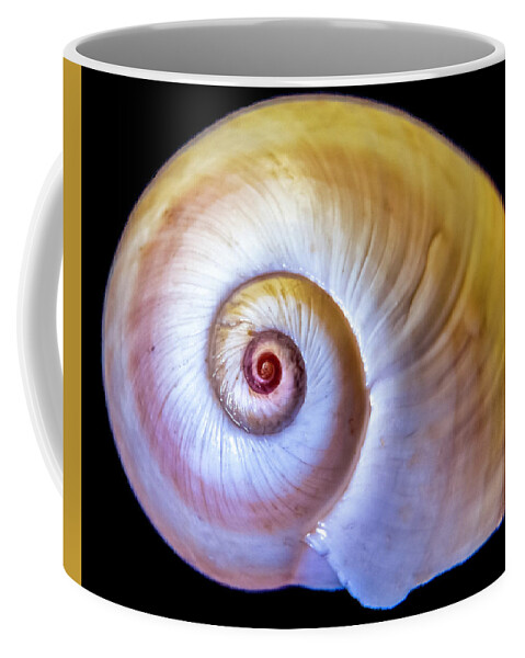 Seashell Coffee Mug featuring the photograph Sea Shell by WAZgriffin Digital