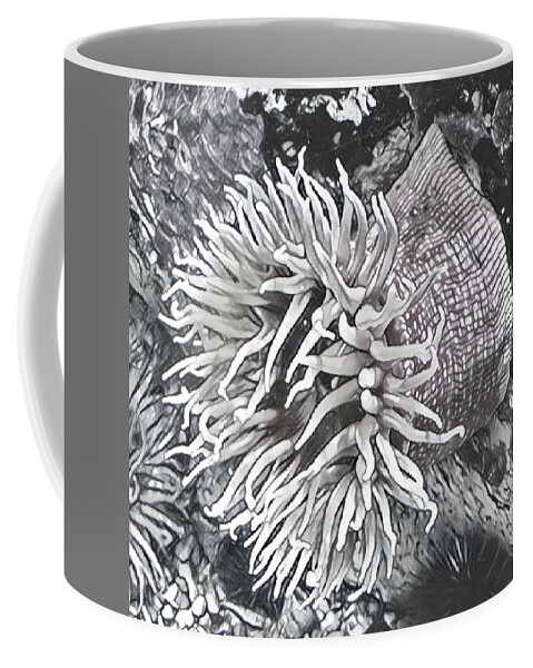 Sea Urchin Coffee Mug featuring the photograph Sea Urchin by Juliette Becker
