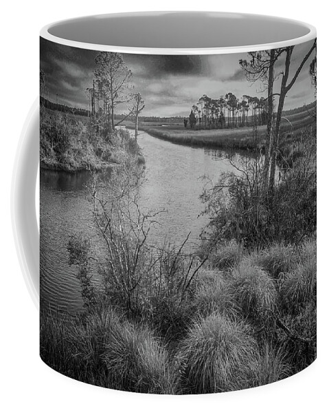 Seagrass Coffee Mug featuring the photograph Seagrass at Bald Point State Park Florida by James C Richardson
