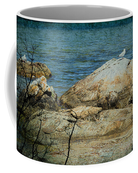 Rocks Coffee Mug featuring the photograph Seagull on a Rock by Elaine Teague