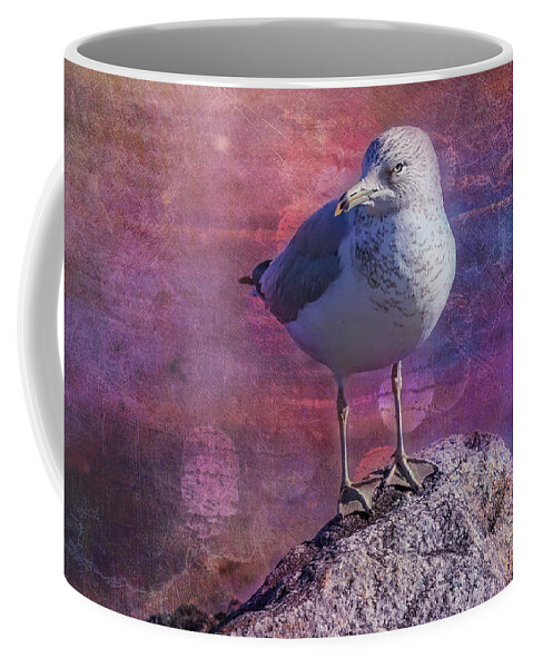 Seagull Coffee Mug featuring the photograph Seagull Portrait by Cate Franklyn