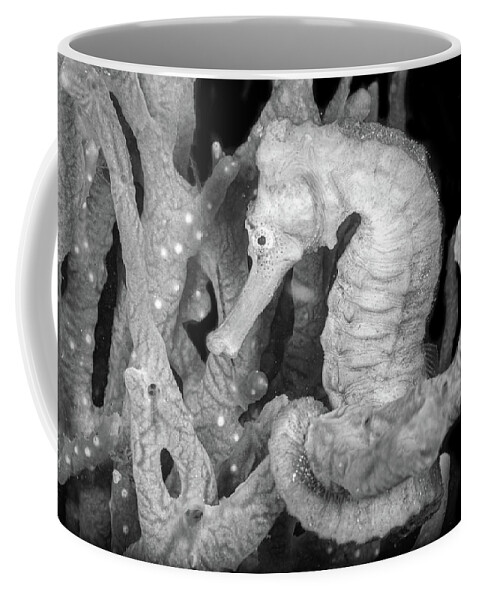 Black Coffee Mug featuring the photograph Seahorse on the Reef Black and White by Debra and Dave Vanderlaan