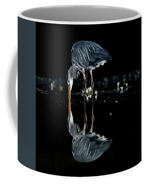 Grey Heron Coffee Mug featuring the photograph Searching by Mark Hunter